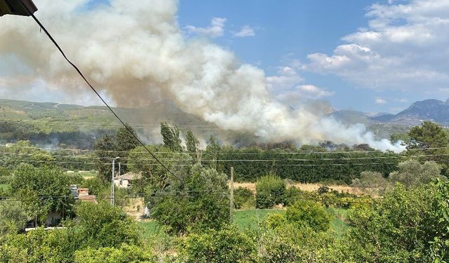 SON DAKİKA: Seydikemer’de orman yangını! Havadan ve karadan müdahale