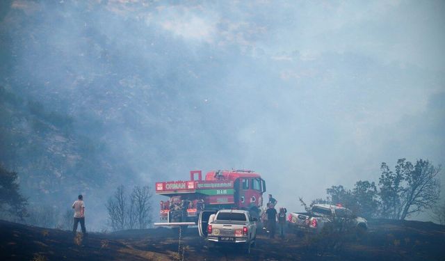 Uşak'ta meşelik ve makilik alanda çıkan yangına müdahale ediliyor