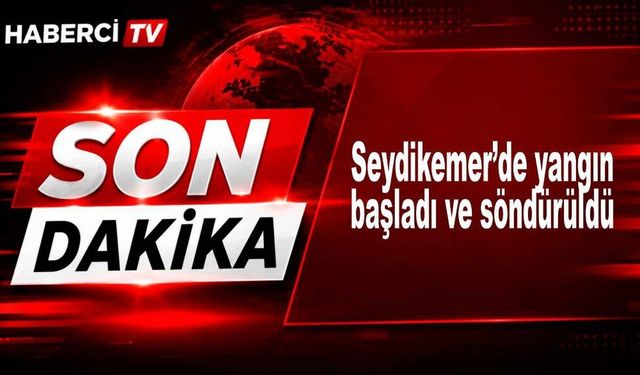 Seydikemer'de orman yangını çıktı ve söndürüldü