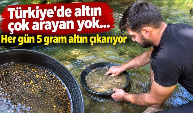 Türkiye'de altın çok arayan yok... Her gün 5 gram altın çıkarıyor