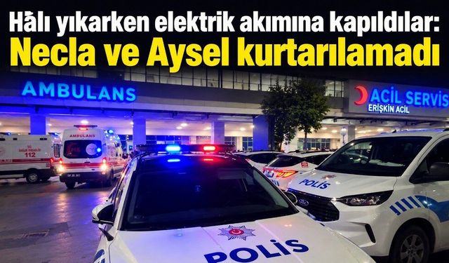 Damda halı yıkarken elektrik akımına kapıldılar: 2 kadın hayatını kaybetti