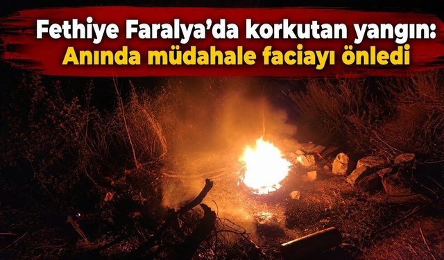 Fethiye Faralya’da korkutan yangın: Anında müdahale faciayı önledi