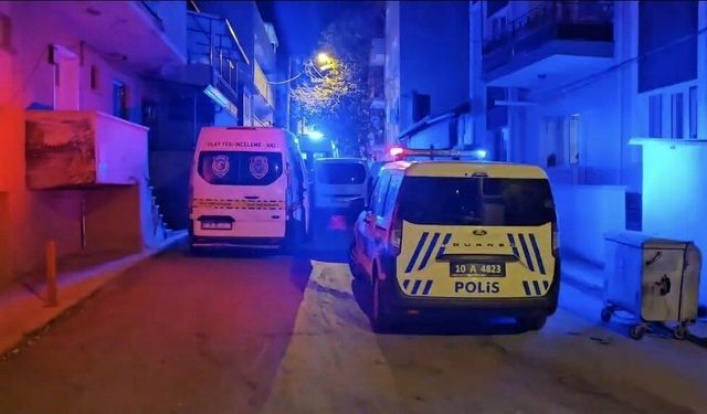 Alkol kullanımı nedeniyle çıkan kavgada kardeşini öldürdü