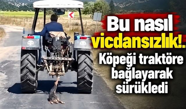 Bu nasıl vicdansızlık!.. Köpeği traktöre bağlayarak sürükledi