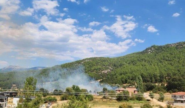 Menteşe’de otluk alanda yangın