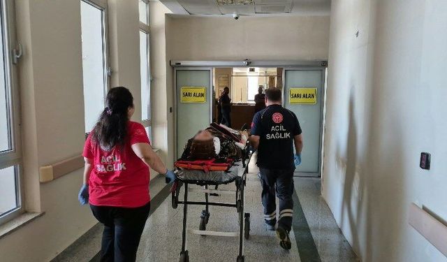 Tütün yüklü römork devrildi: 8 yaralı