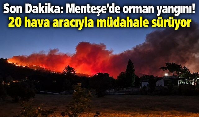 Son Dakika: Menteşe’de orman yangını! 20 hava aracıyla müdahale sürüyor