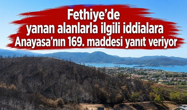 Anayasanın 169. maddesi açık: Yanan ormanların yerinde yeniden orman yetiştirilir