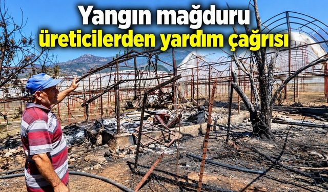 Kaş’ta yangın mağduru üreticilerden yardım çağrısı: “Fidelerimiz ziyan olmadan sera naylonlarımızı bekliyoruz”