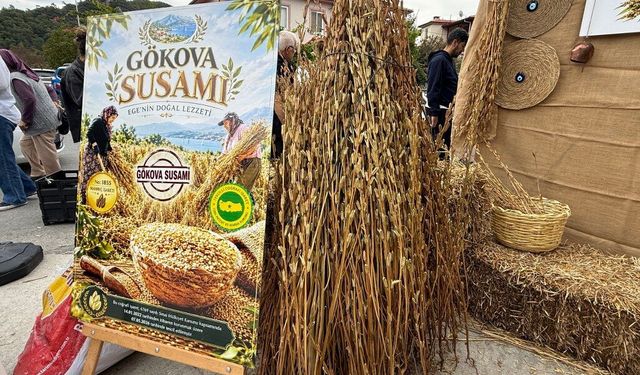 "Gökova Susamı Hasat Festivali" başladı