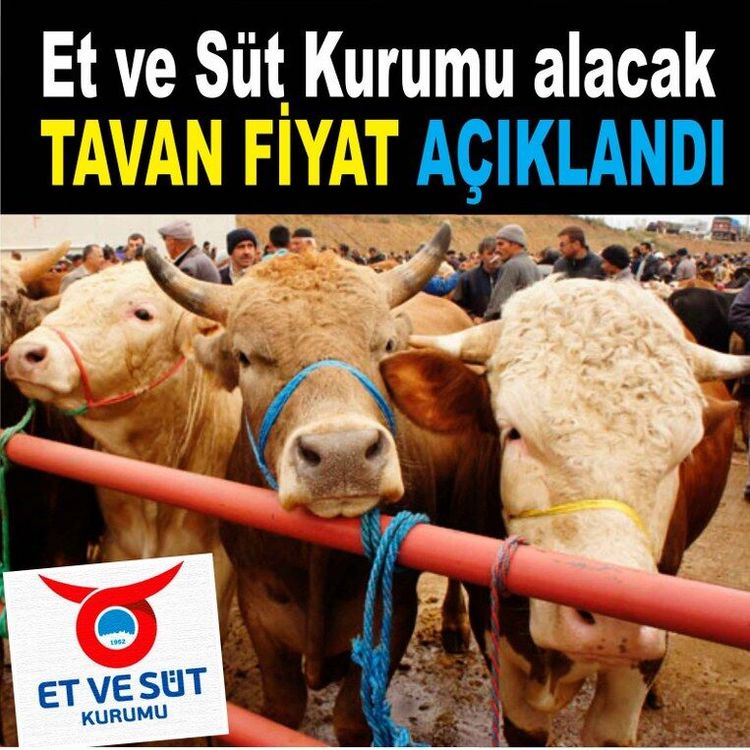 Satılamayan kurbanlıkları Et ve Süt Kurumu alacak