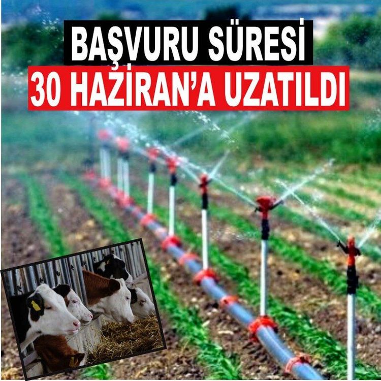Destekleme başvuru süresi 30 Haziran'a uzatıldı
