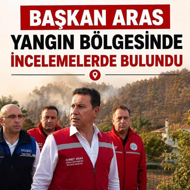 Başkan Aras yangın bölgesinde incelemelerde bulundu