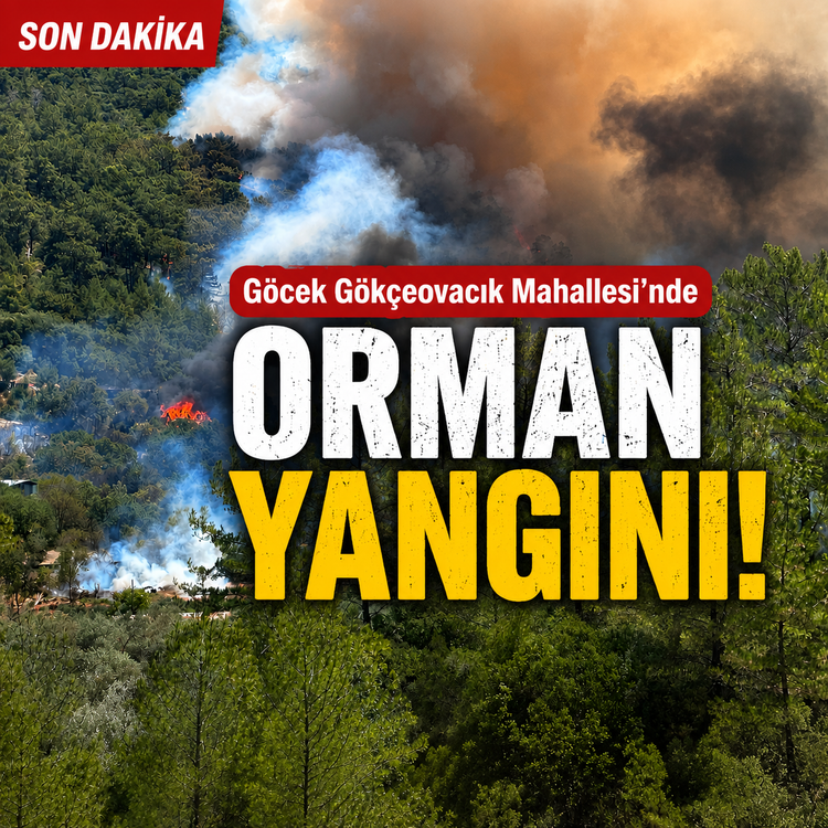 Fethiye’de orman yangını