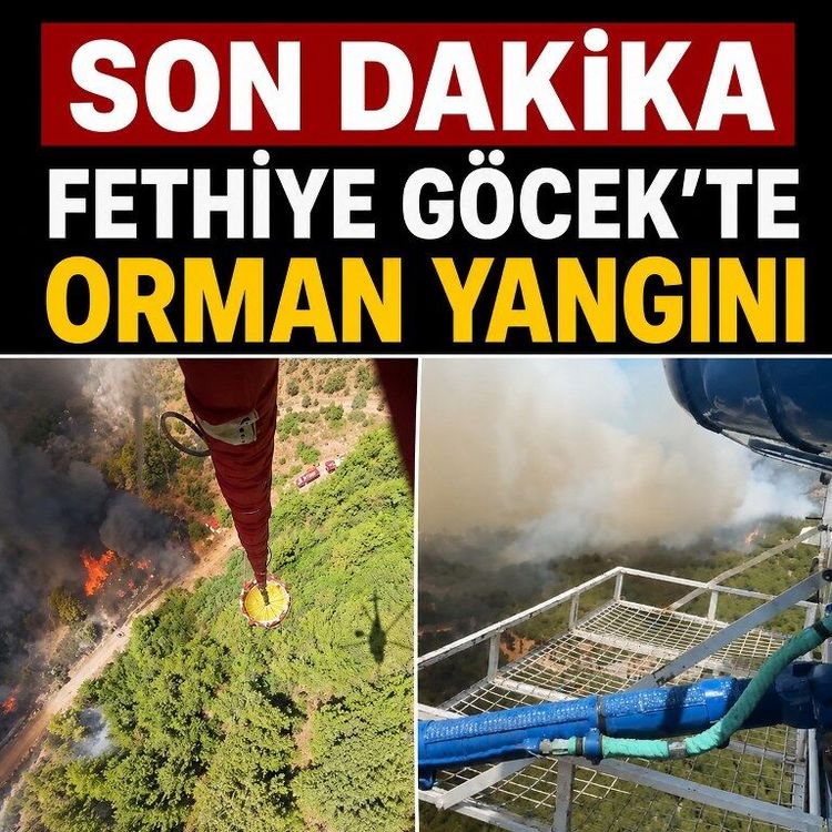 SON DAKİKA | Fethiye Göcek'te orman yangını: 5 helikopter, 3 uçak görevde