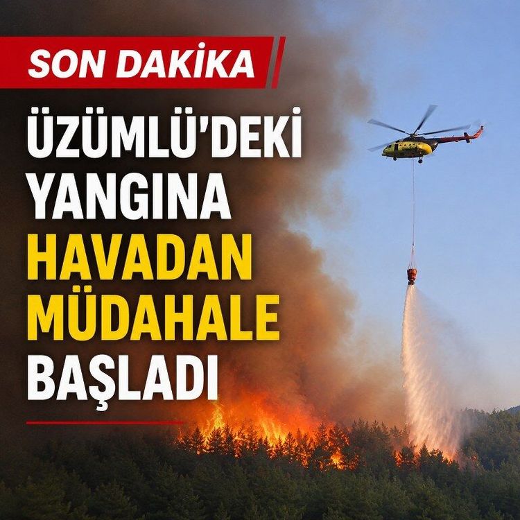 SON DAKİKA | Üzümlü'deki yangına havadan müdahale başladı