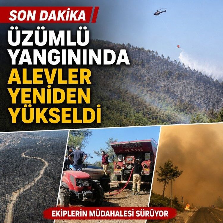 Son dakika: Üzümlü yangınında alevler yeniden yükseldi