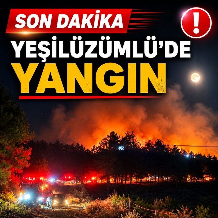 Son dakika: Yeşilüzümlü’de yangın