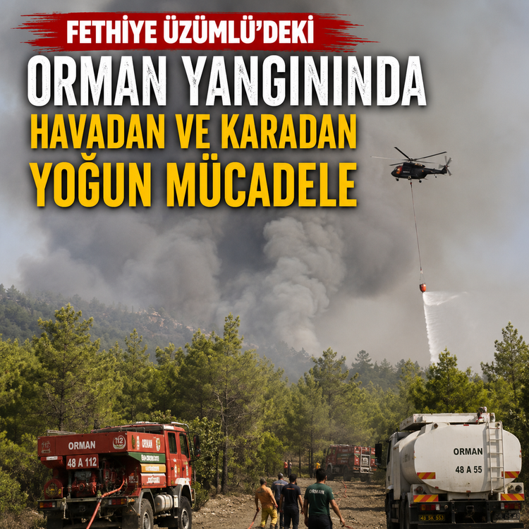 Fethiye Üzümlü'deki orman yangınında havadan ve karadan yoğun mücadele