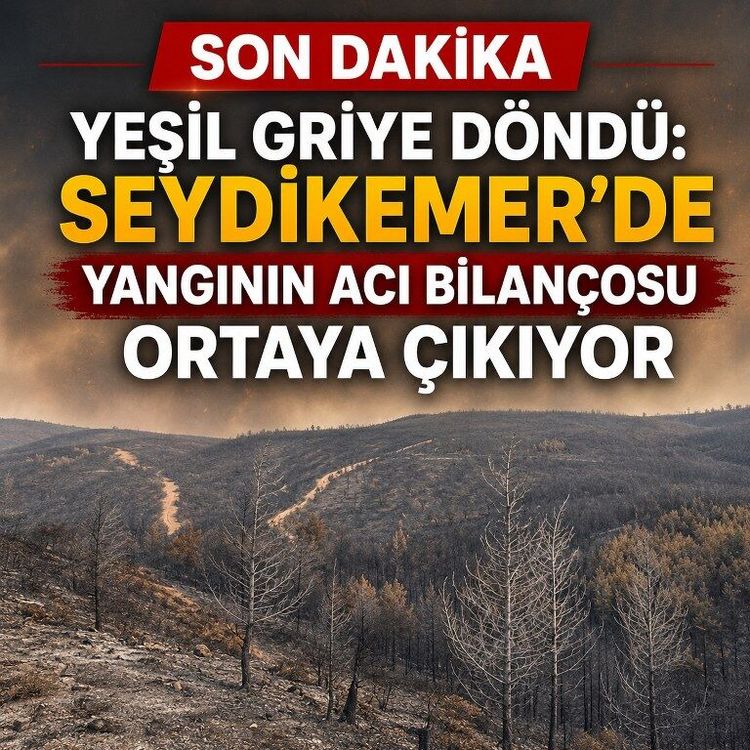 Yeşil griye döndü: Seydikemer'de yangının acı bilançosu ortaya çıkıyor