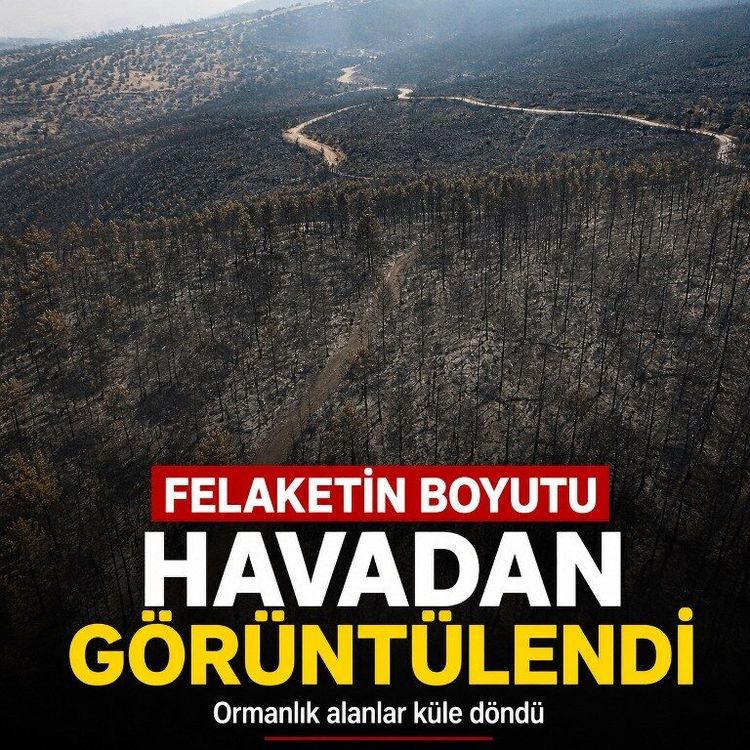 Felaketin boyutu havadan görüntülendi