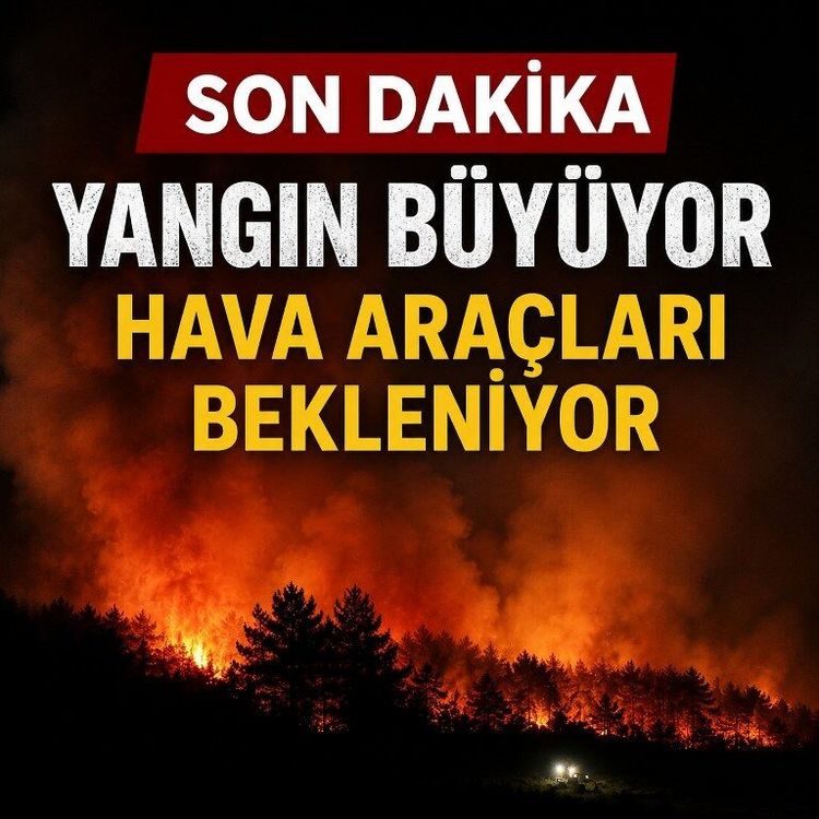 Son dakika: Yangın büyüyor, hava araçları bekleniyor