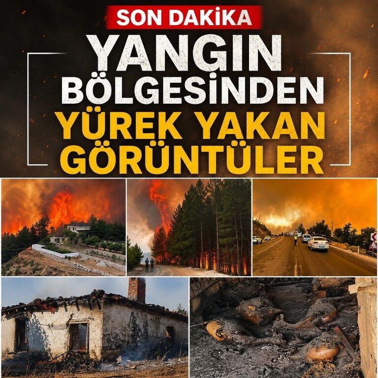 Yangın bölgesinden yürek yakan görüntüler: Hayvanlar telef oldu, evler küle döndü