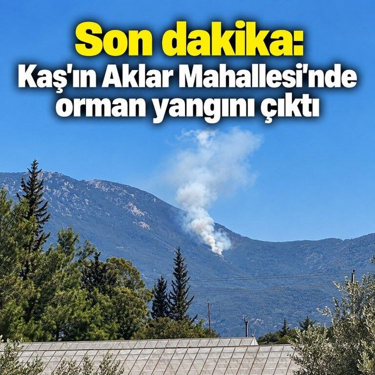 Son dakika: Kaş’ın Aklar Mahallesi’nde orman yangını çıktı
