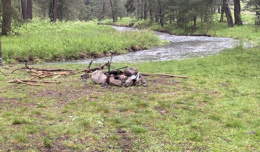 Piknik alanına yıldırım düştü: 1'i ağır 3 yaralı