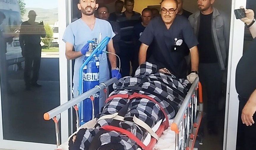 Hayvanlarını otlatırken ayı saldırısına uğradı, Kangallar imdadına yetişti