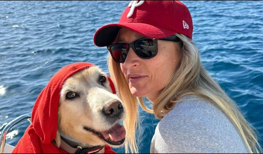 Bodrum'daki köpek davasında sanık beraat etti