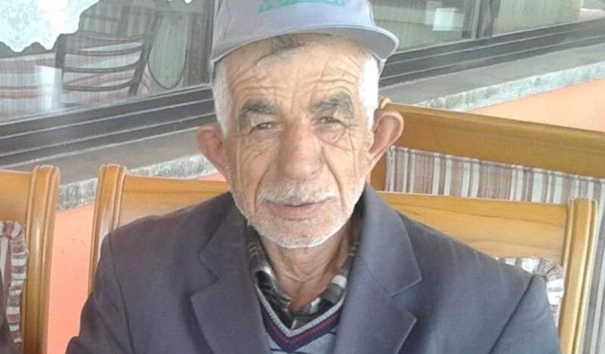 Kamyonun çarptığı yaya öldü