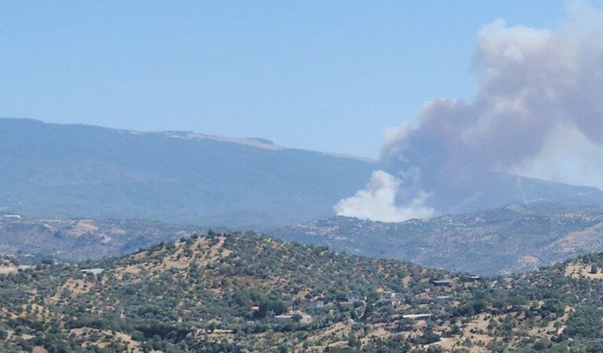 Çine'de orman yangınına havadan ve karadan müdahale ediliyor