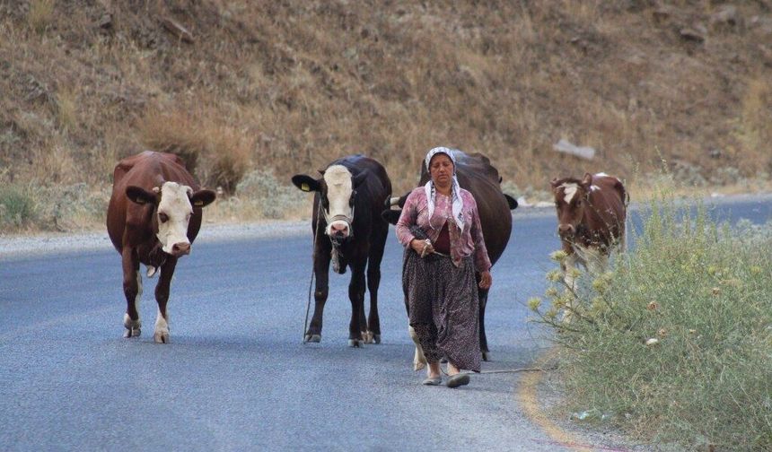 Alevlerden kaçtılar, hayvanlarını ve kendi canlarını zor kurtardılar