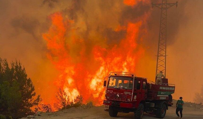 Son Dakika | Aydın Çine'de orman yangını: Çok sayıda ekip sevk edildi