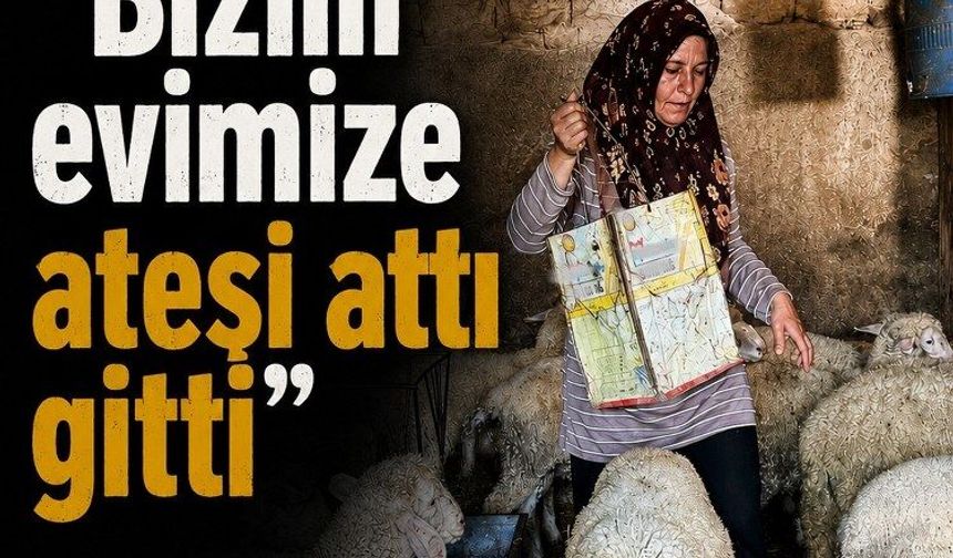 Eşi vahşice öldürüldü, şimdi iki oğlunu okutabilmek için çobanlık yapıyor