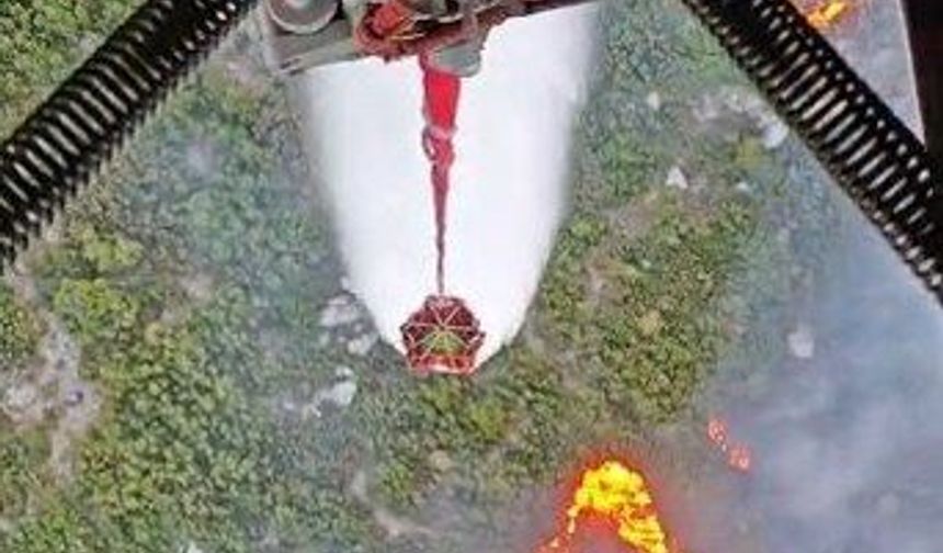 Son Dakika: Fethiye'de çıkan orman yangınına müdahale ediliyor