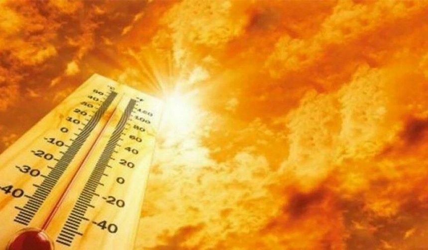 Meteoroloji'den Muğla'ya orman yangını risk uyarısı