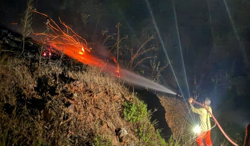 Antalya'nın Gazipaşa ilçesinde orman yangını başladı