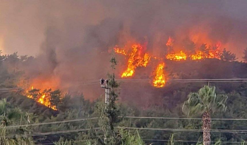 Son dakika: Fethiye’de şehir merkezine yakın orman yangını