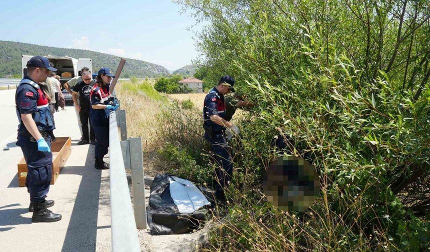 Otomobil çarpıp kaçtı: Bisiklet sürücüsü ağacın altında ölü bulundu