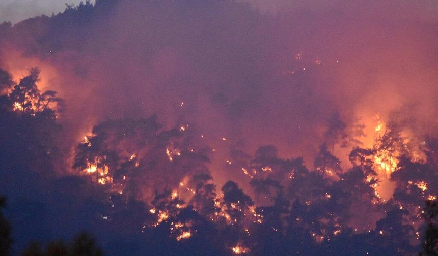 Kemer'deki orman yangını kontrol altına alındı
