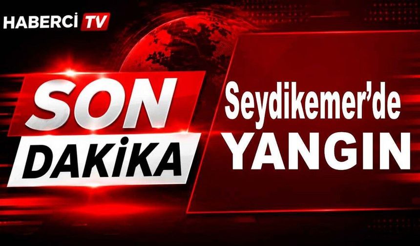 Son Dakika: Seydikemer’de yangın