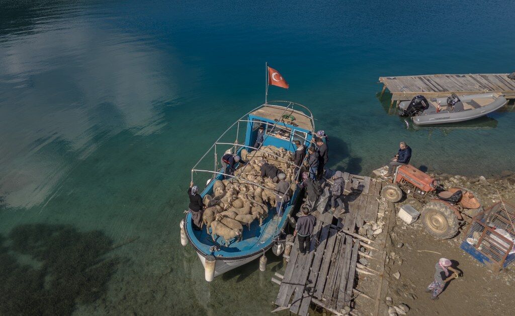 Cobanlarin Karada Baslayan Gocu Denizde Devam Eden Sira Disi Yolculuga Donusuyor (10) 1024X630