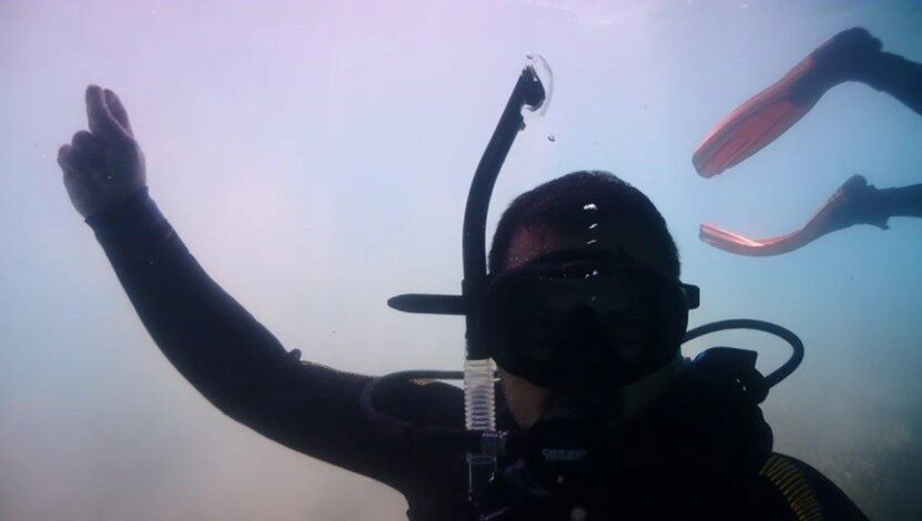 Deniz Dibi Zeybek (1) 831X470