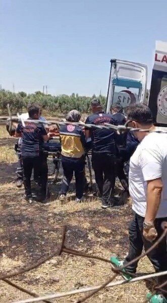 Anız (1) 331X600