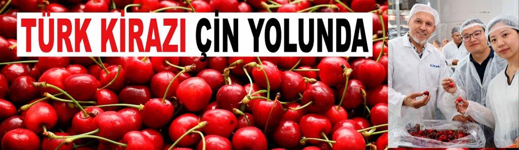 Türk kirazı Çin biletini almak üzere