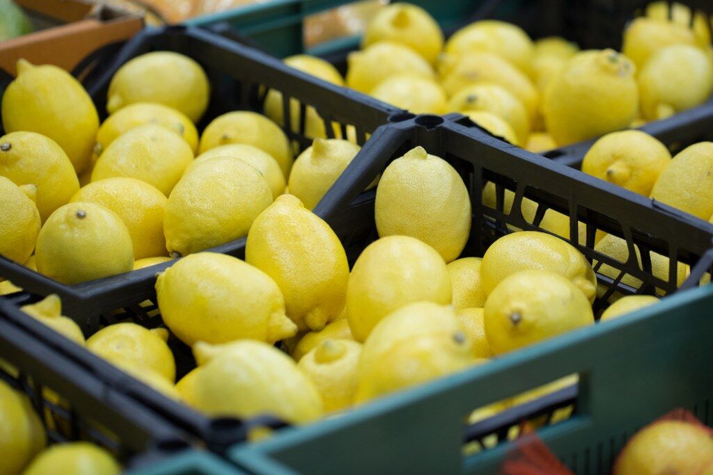 Limon (1) 1024X683
