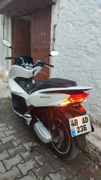 Motor (1) 338X600