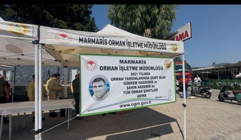 Orman (3) 800X465